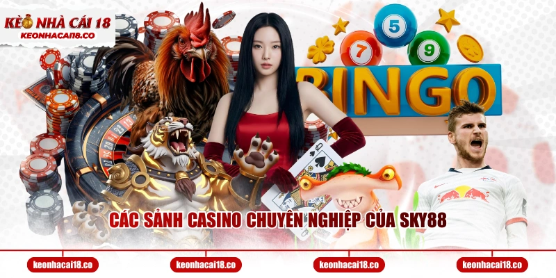 Các sảnh casino chuyên nghiệp của SKY88