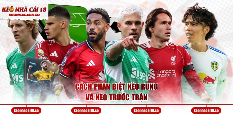 Cách phân biệt kèo rung và kèo trước trận