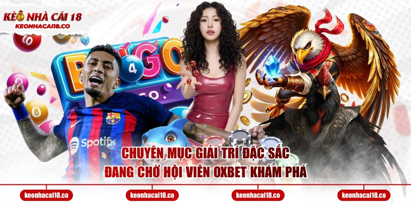 Chuyên mục giải trí đặc sắc đang chờ hội viên OXBET khám phá