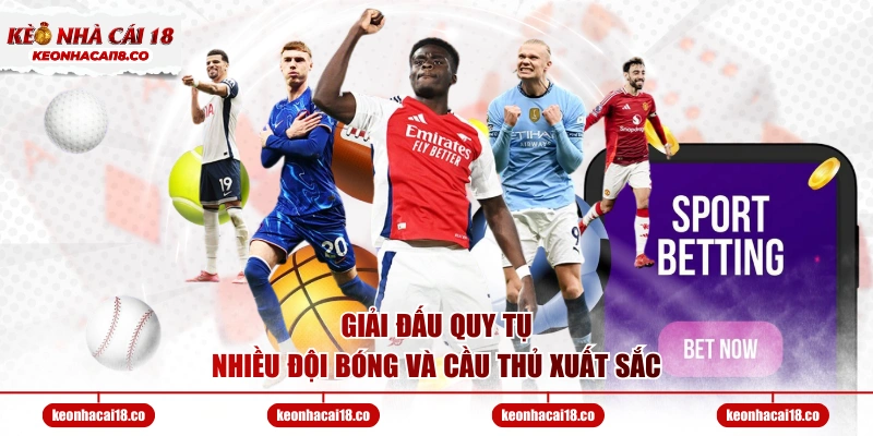 Giải đấu quy tụ nhiều đội bóng và cầu thủ xuất sắc