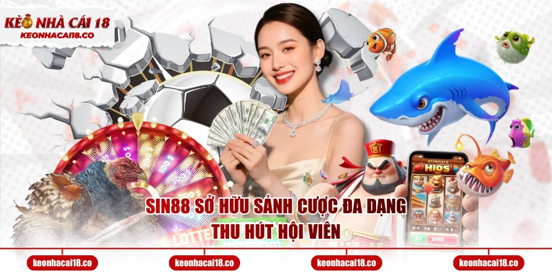 SIN88 sở hữu sảnh cược đa dạng thu hút hội viên